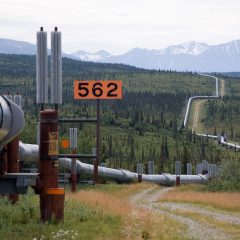 Trans-Alaska_Pipeline_System_Luca_Galuzzi_2005.jpg