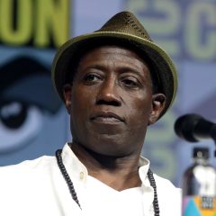 Wesley_Snipes_284196909775029_28cropped29.jpg