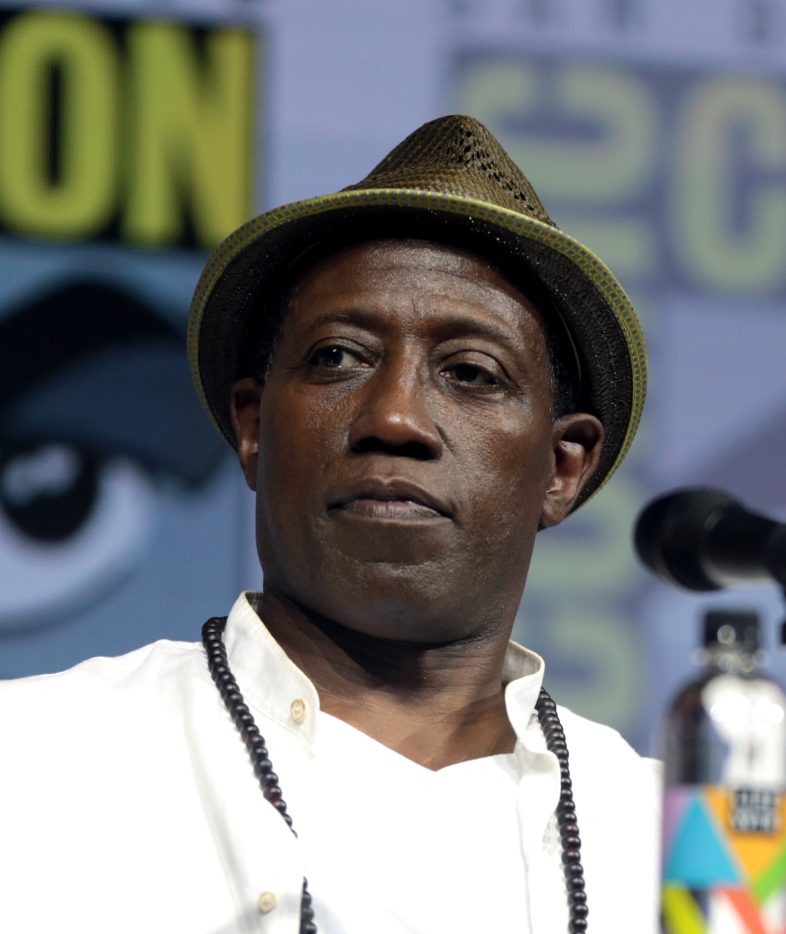 Wesley_Snipes_284196909775029_28cropped29.jpg
